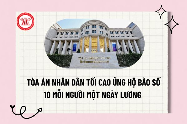 Pháp luật