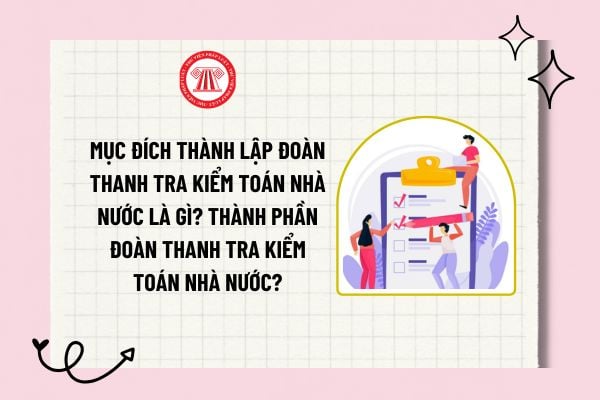 Mục đích thành lập đoàn thanh tra Kiểm toán Nhà nước là gì? Thành phần Đoàn thanh tra Kiểm toán Nhà nước bao gồm những ai?