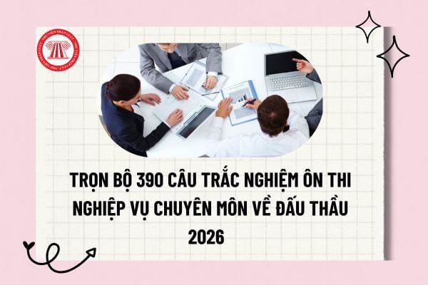 Pháp luật