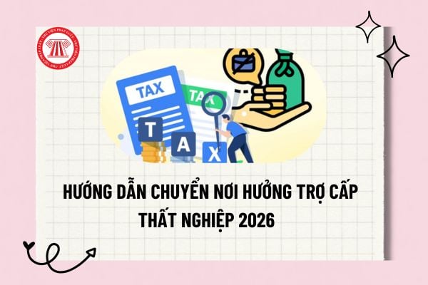 Pháp luật
