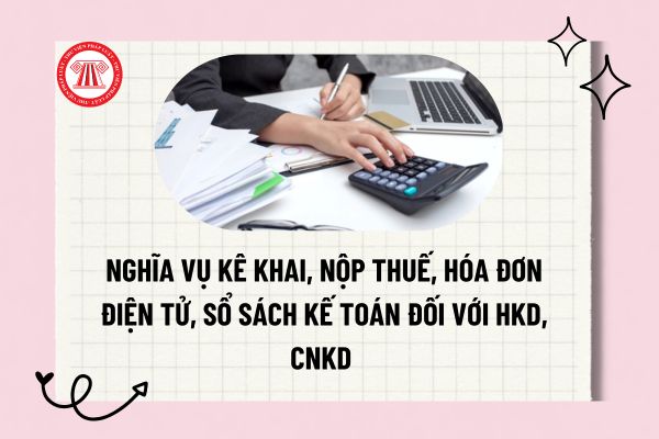 Pháp luật