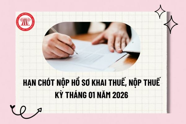 Pháp luật