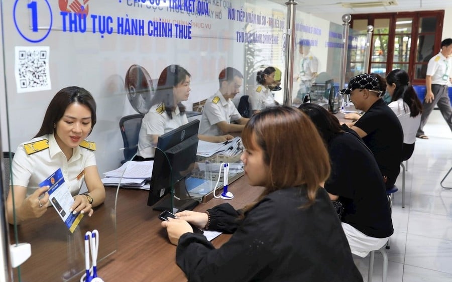 Pháp luật