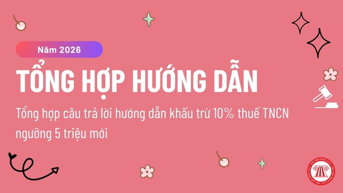 Pháp luật