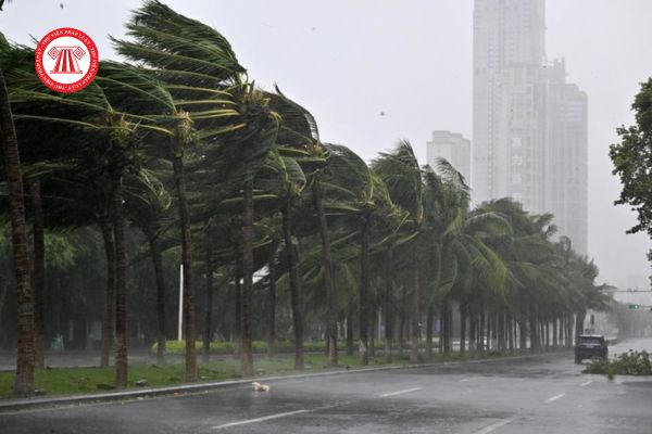 Cắt điện do Bão số 3 Siêu bão Yagi phải được thông báo trước bao lâu? 