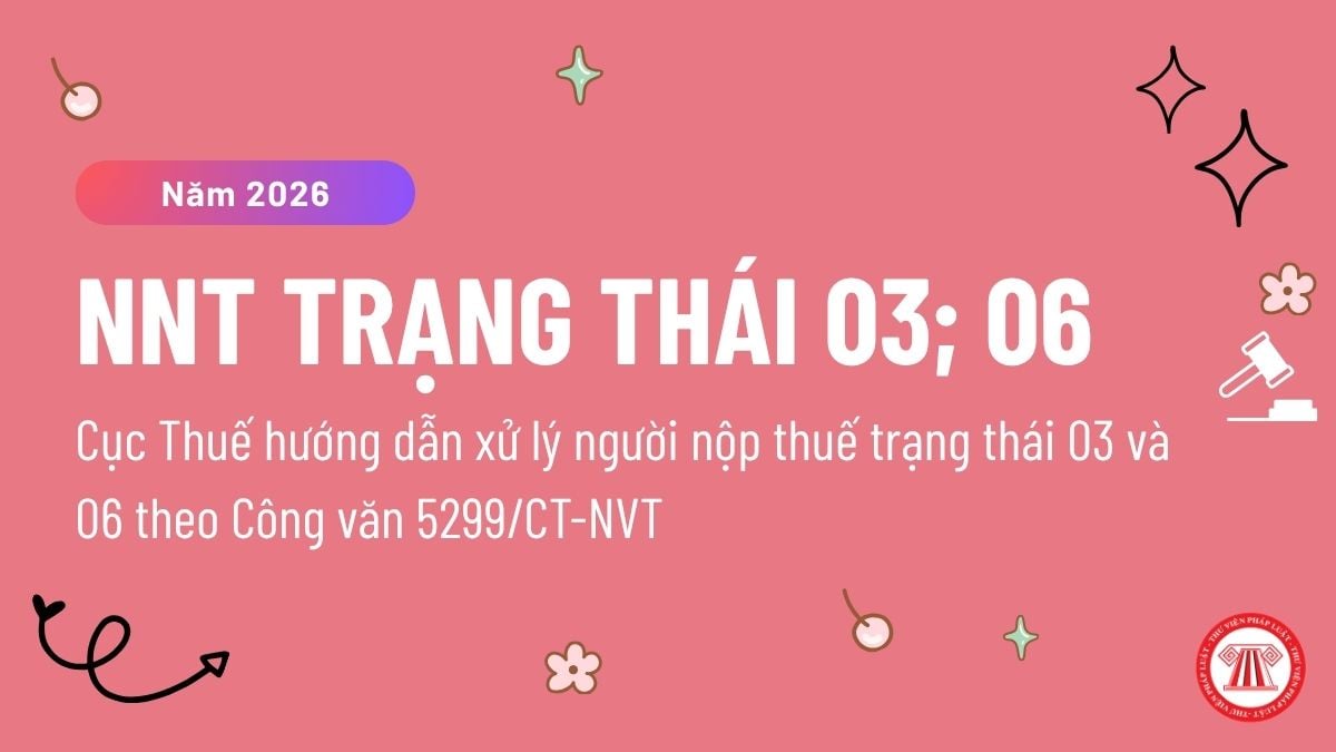 Pháp luật