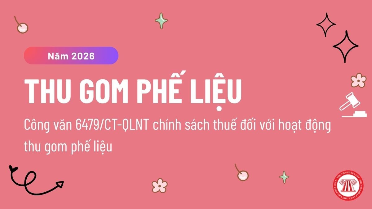 Pháp luật