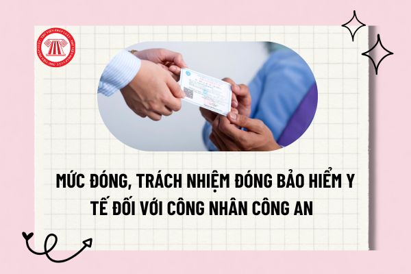 Pháp luật