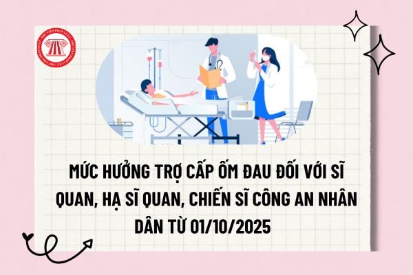 Pháp luật