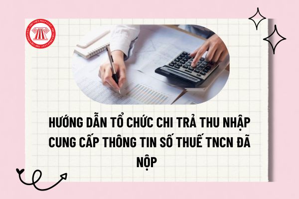 Pháp luật