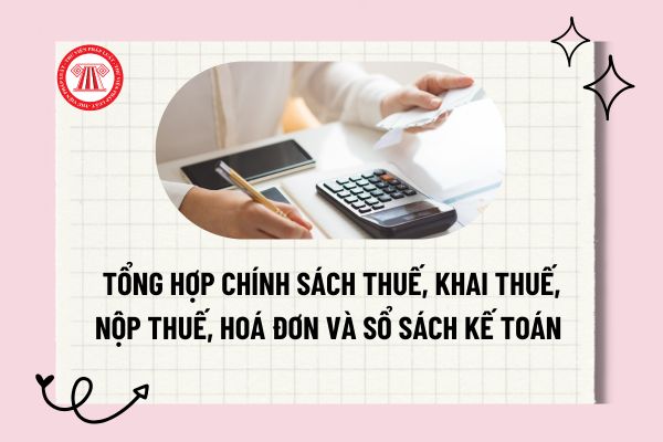 Tổng hợp chính sách thuế, khai thuế, nộp thuế, hoá đơn và sổ sách kế toán 4 nhóm HKD, CNKD 2026?
