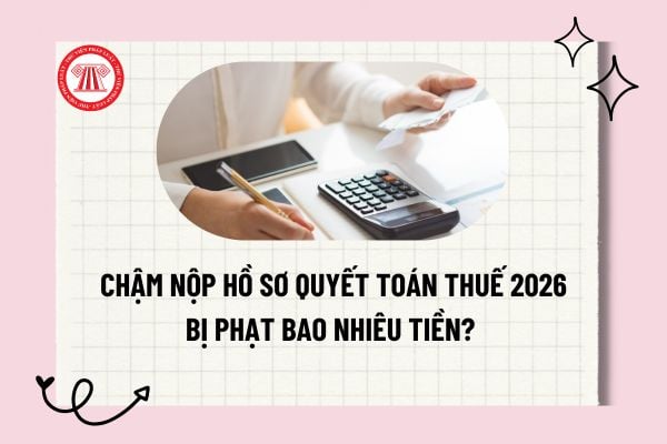 Pháp luật