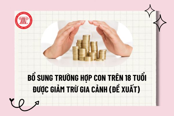 Pháp luật