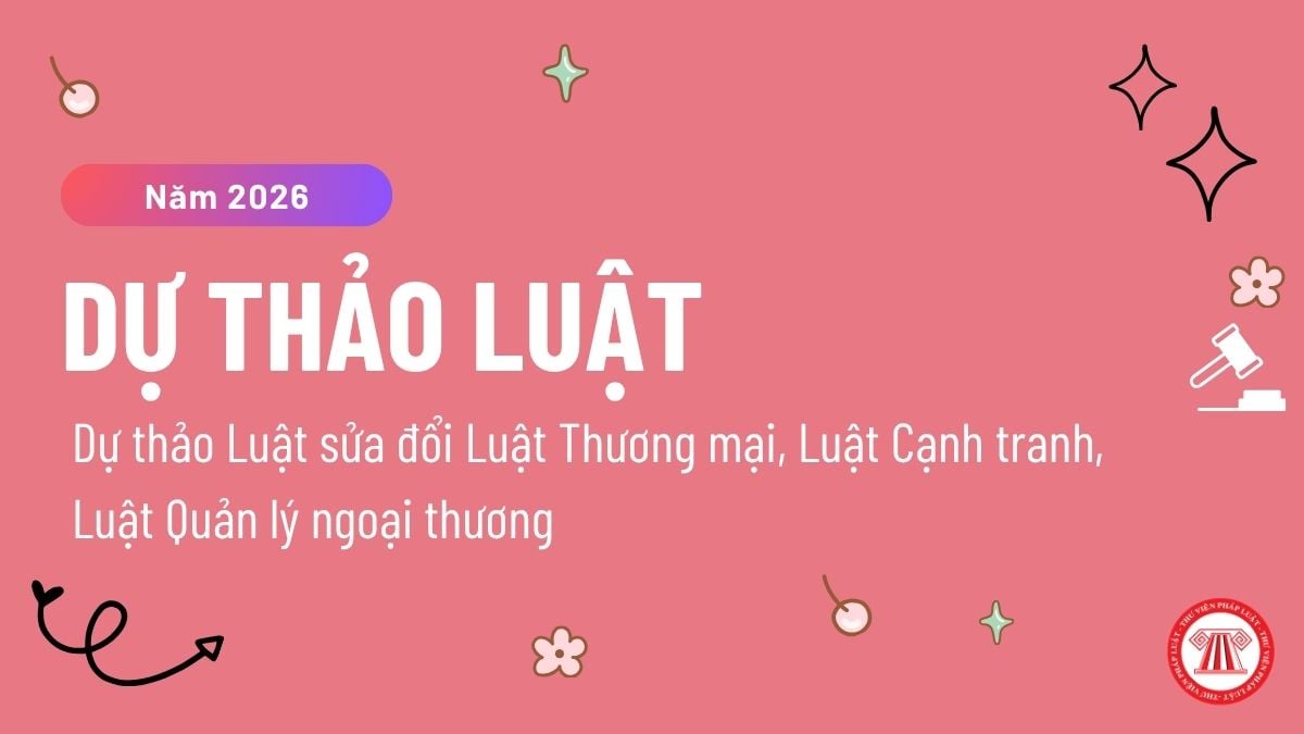 Pháp luật