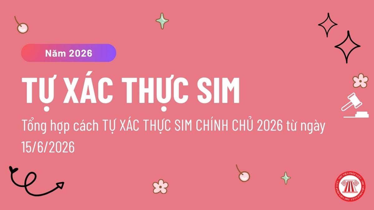Pháp luật