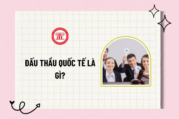 Pháp luật