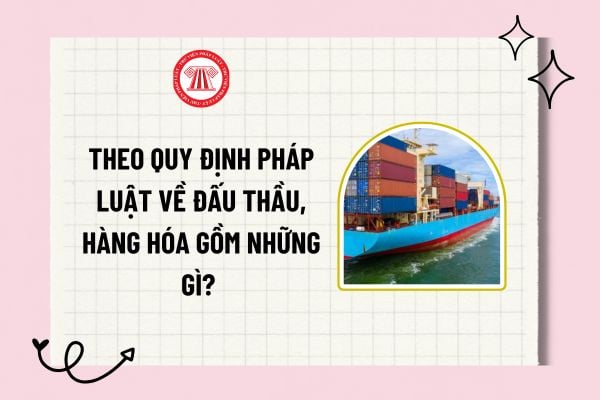 Pháp luật