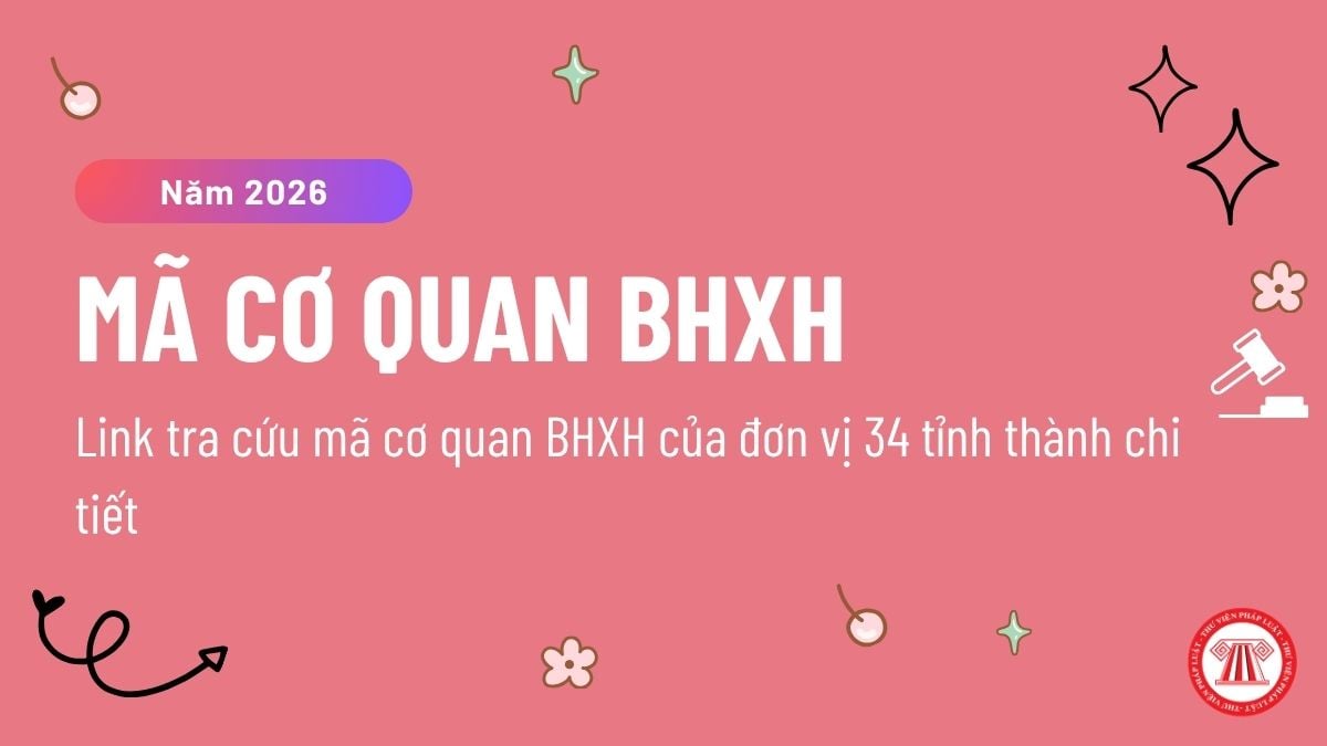 Pháp luật