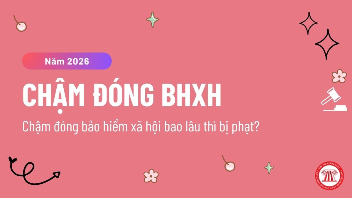 Pháp luật