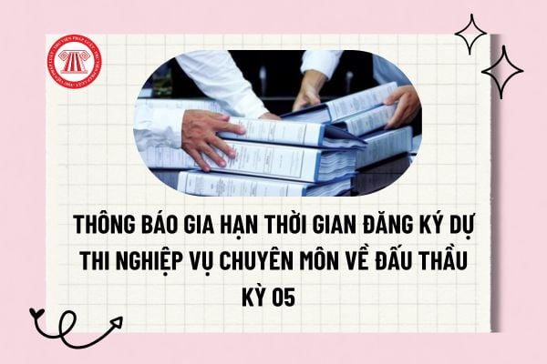 Pháp luật