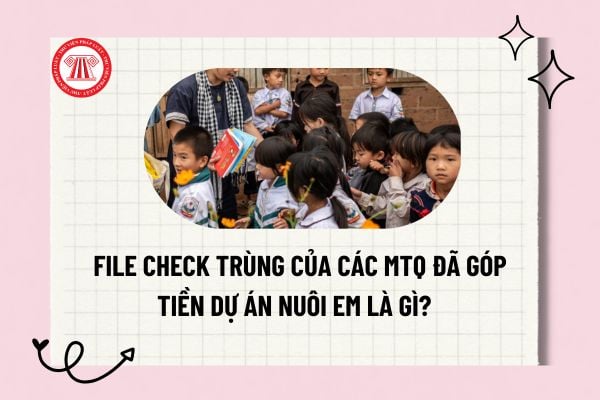 Pháp luật