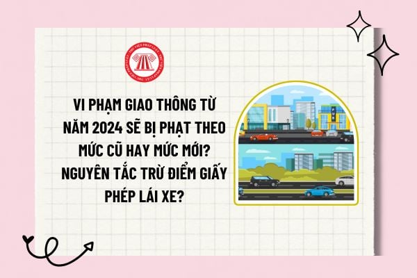 Vi phạm giao thông từ năm 2024 sẽ bị phạt theo mức cũ hay mức mới? Nguyên tắc trừ điểm giấy phép lái xe?