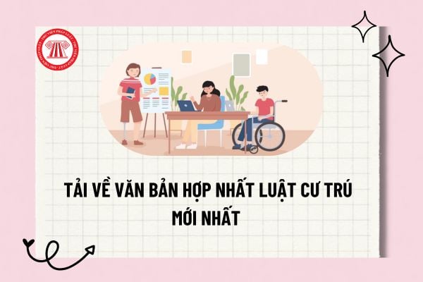Pháp luật