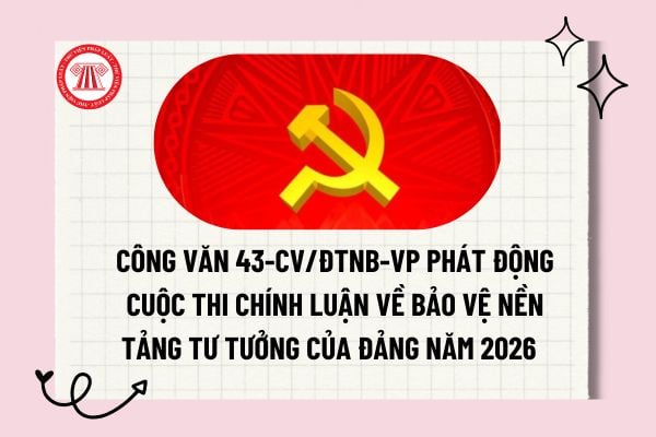 Pháp luật
