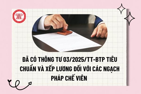 Pháp luật