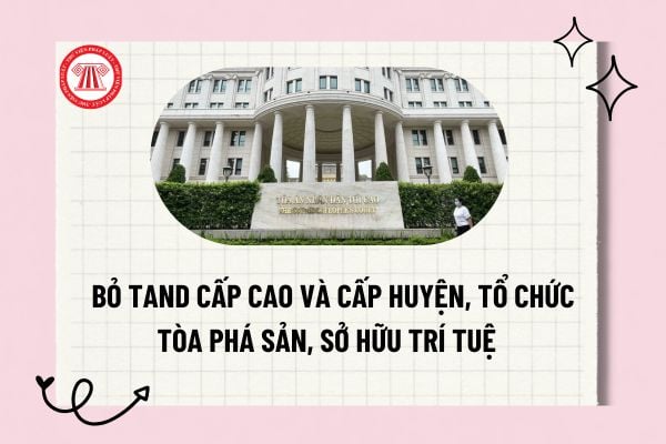 Pháp luật