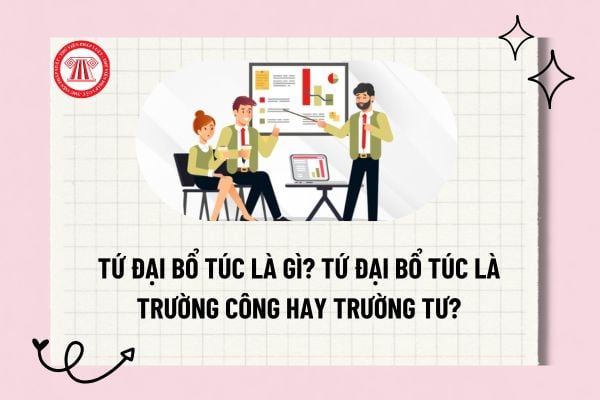 Pháp luật