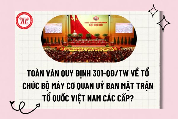 Pháp luật