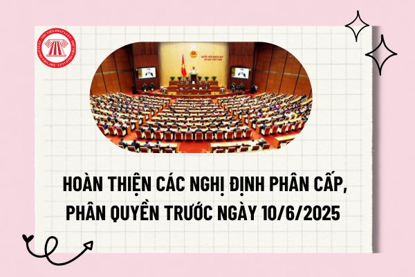 Pháp luật