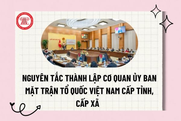 Pháp luật