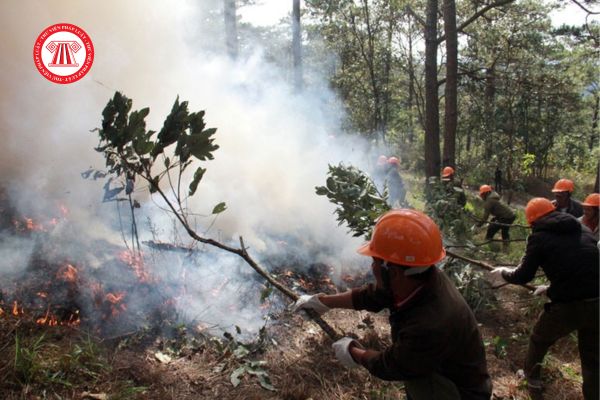 Phương án phòng cháy chữa cháy rừng được quy định như thế nào? Khi lập dự án phát triển rừng, giải pháp phòng cháy chữa cháy phải bảo đảm nội dung gì?