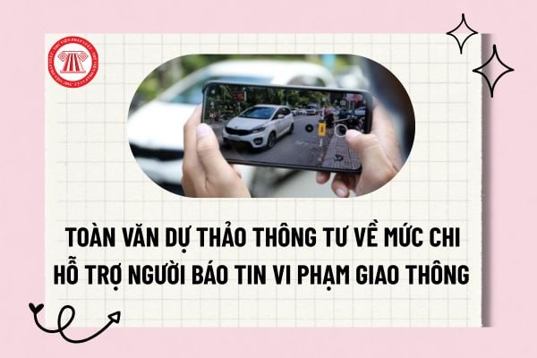 Pháp luật