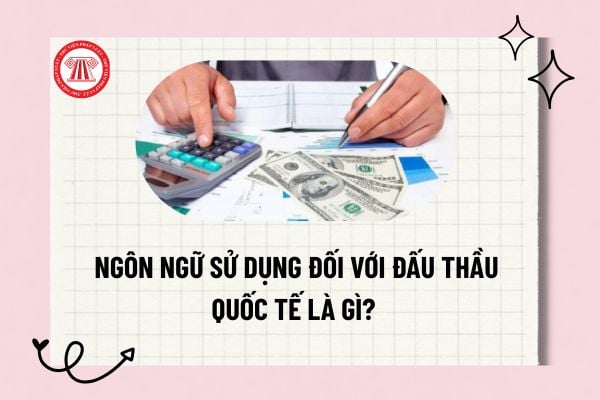 Pháp luật