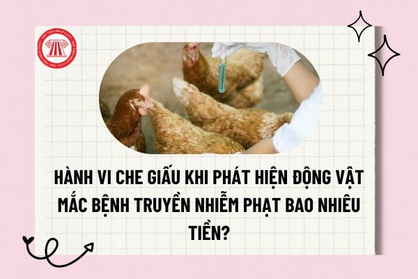 Pháp luật