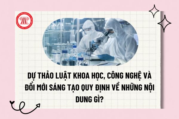Pháp luật
