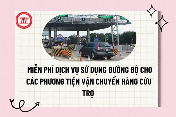 Pháp luật