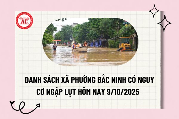Pháp luật