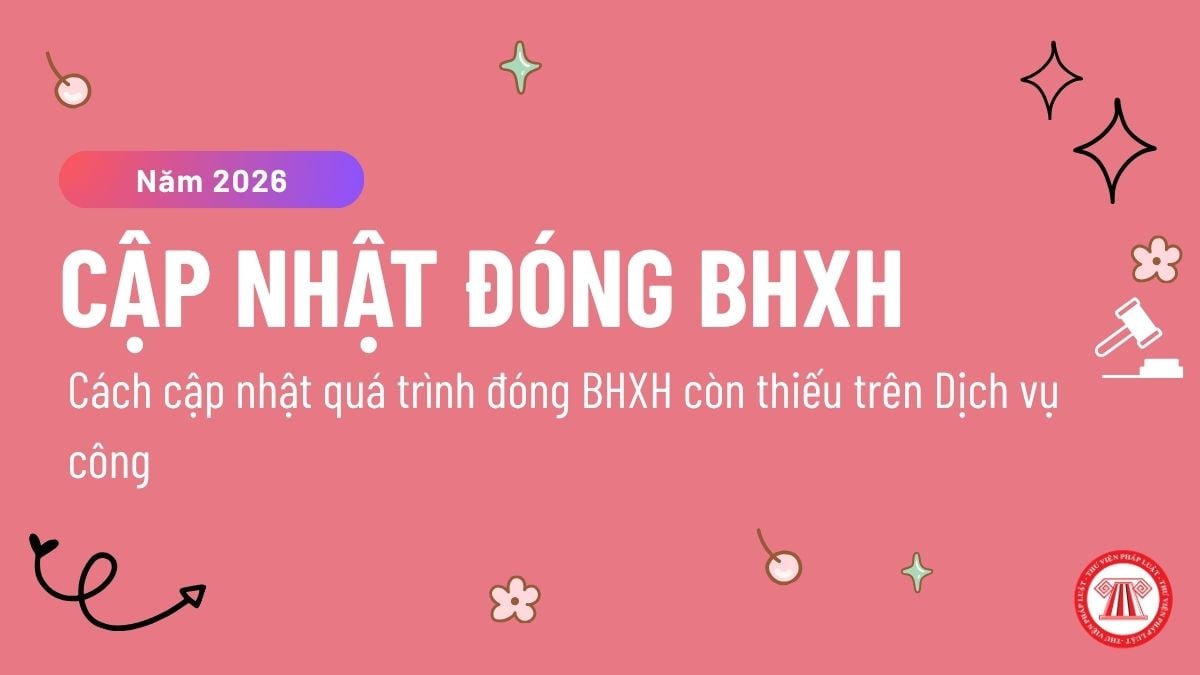 Pháp luật