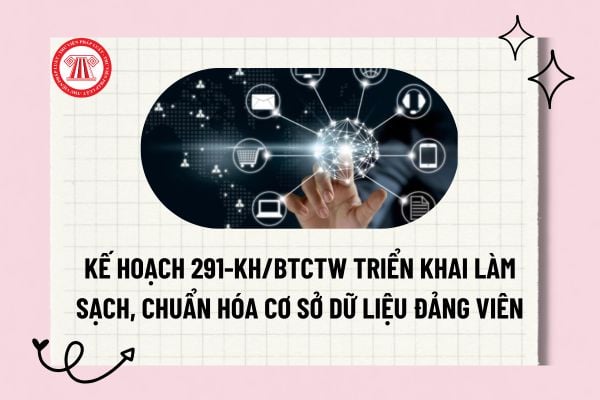 Pháp luật