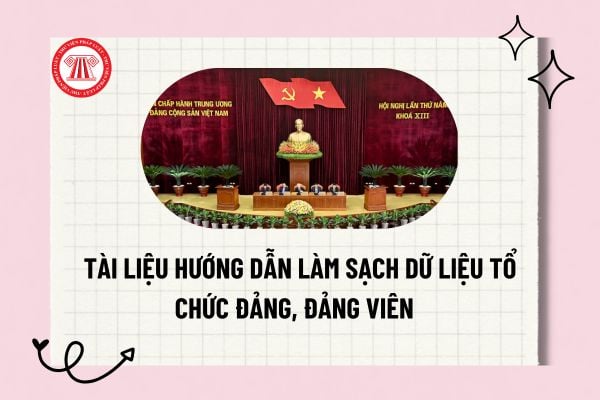 Pháp luật