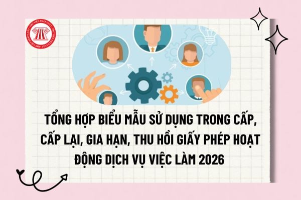 Pháp luật