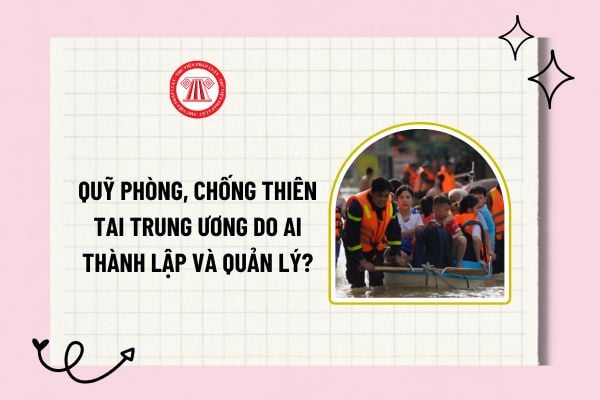 Pháp luật