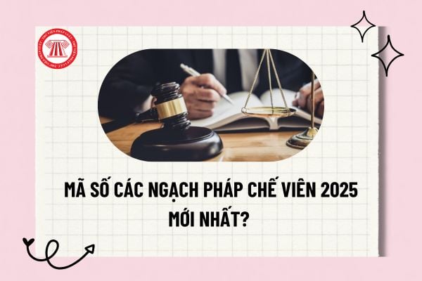 Pháp luật