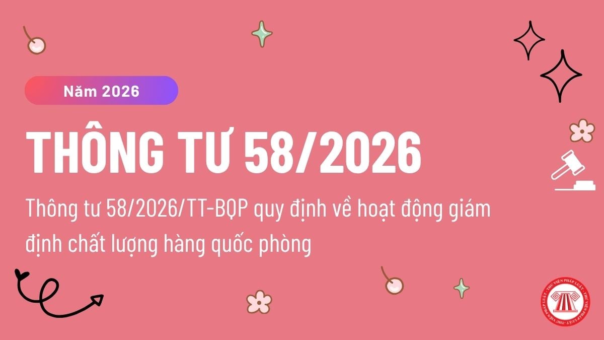 Pháp luật