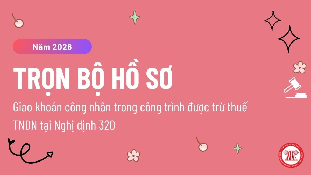 Pháp luật