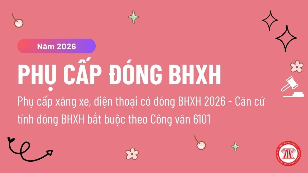 Pháp luật